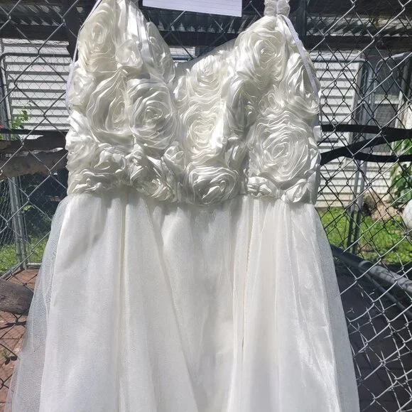 Masquerade Dresses Cream Plus Size Prom Dress Poshmark
